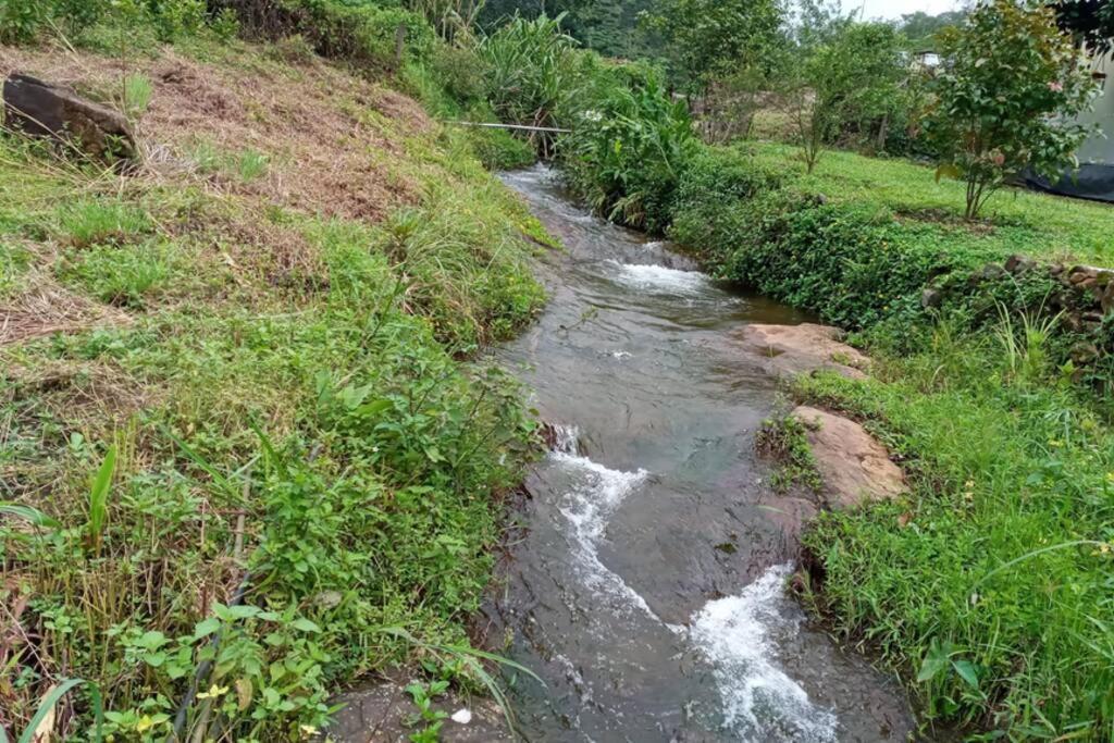 Farmstay In ചില്ലുകൂടാരം At Les Domki Et Al. Vagamon Exterior photo