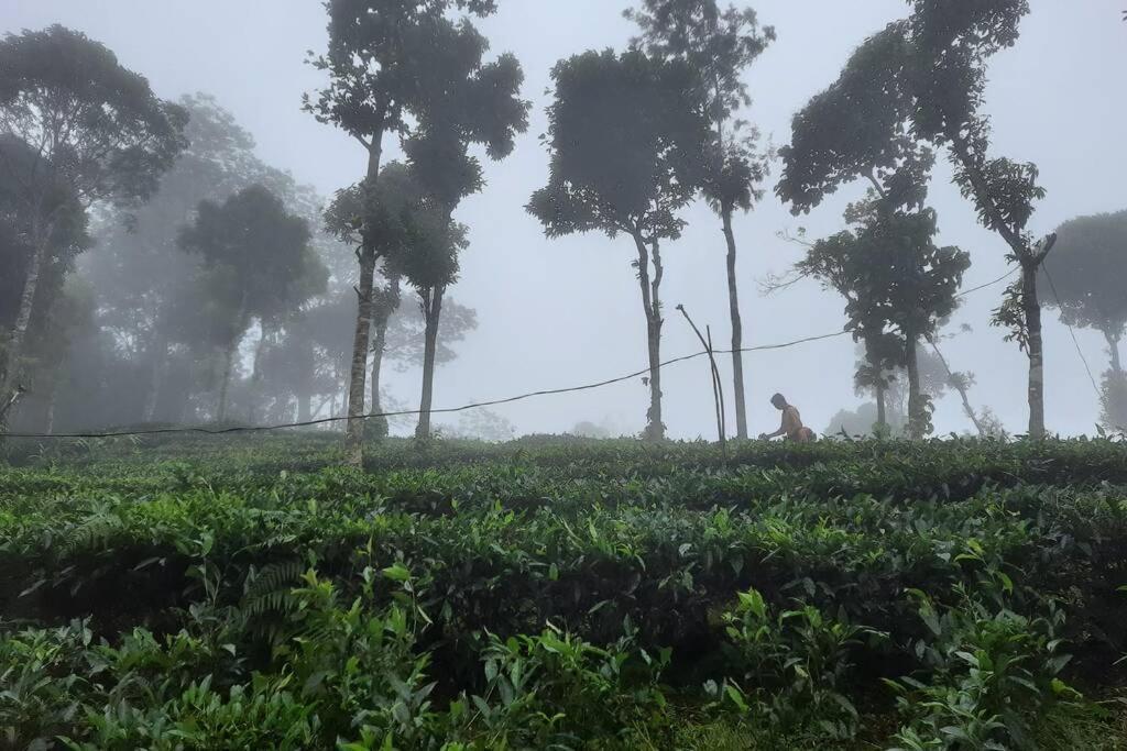 Farmstay In ചില്ലുകൂടാരം At Les Domki Et Al. Vagamon Exterior photo